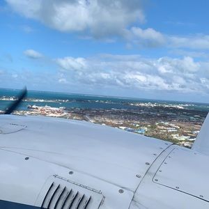 Meet your Posher, Bailey